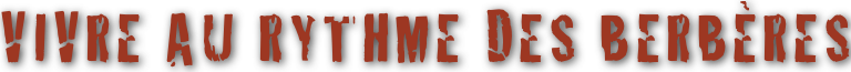 shapeimage_2_link_0