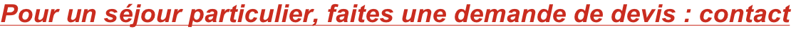 shapeimage_4_link_0