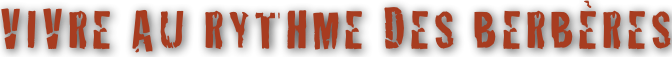 shapeimage_1_link_0